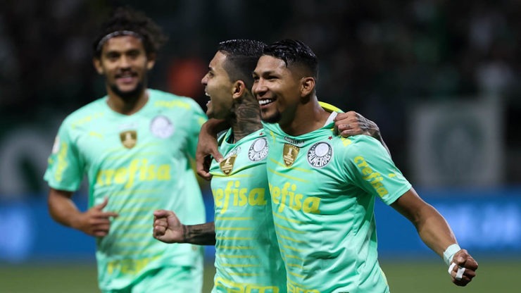 Palmeiras vence o Avaí em casa (Cesar Greco/Palmeiras)